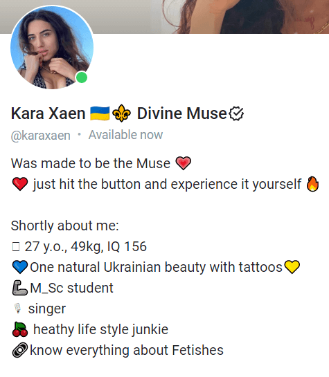 great onlyfans bio